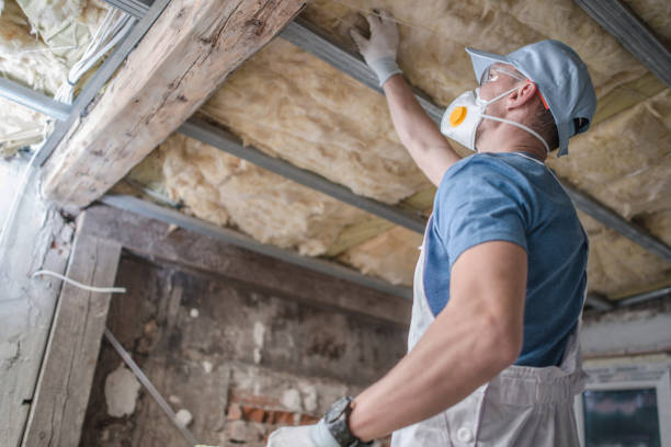 Best Commercial Insulation in Anahuac, TX
